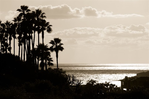 20110515_DPScenic_0197T-3.jpg