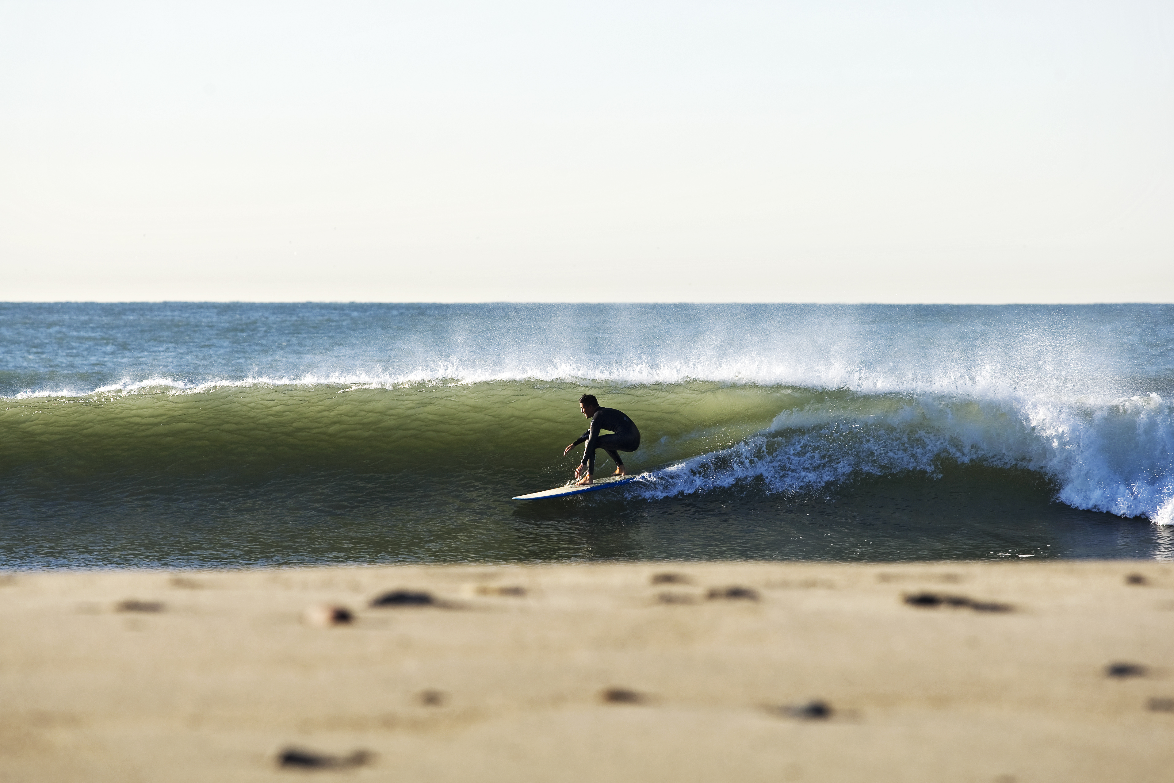 Surf.jpg