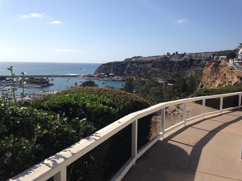 Scenic coastal view with a curved pathway and white railing overlooking water.