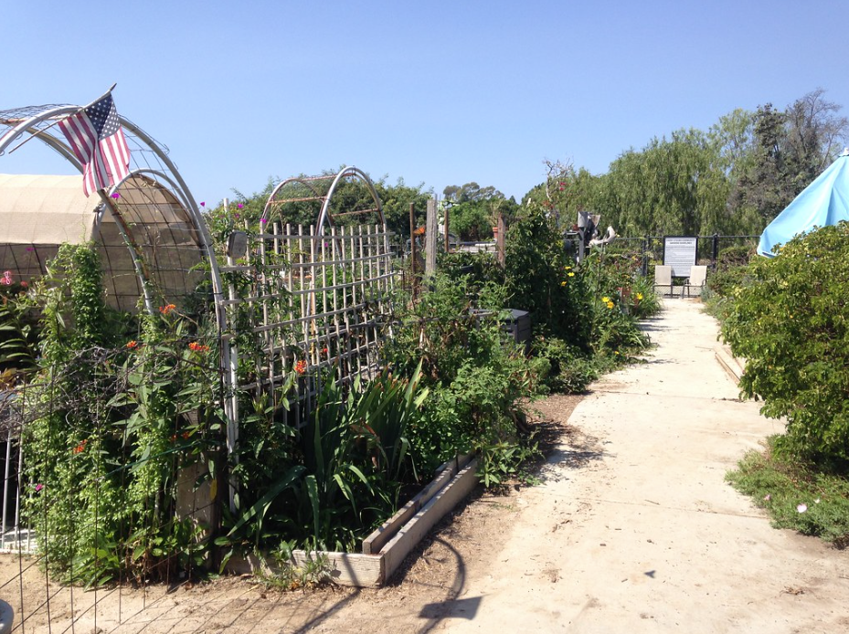 Community-Gardens.png