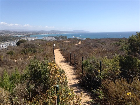 Harbor Point Conservation Park with a dirt path lined with black metal fencing winds through dense shrubbery and vegetation, leading towards a distant view of the ocean with hills and coastal features visible under a clear blue sky.