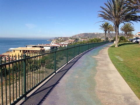 A paved pathway along South Strands Conservation Park with a metal railing on the left side, bordered by grass and palm trees. Buildings are visible in the distance near the coastline, with the ocean to the left and clear skies above.
