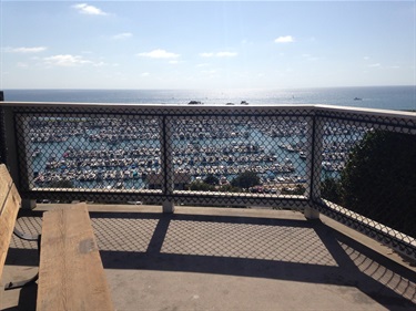 Bluff Top Trail's wooden bench on a concrete platform overlooking a marina and ocean, with a metal railing casting shadows.