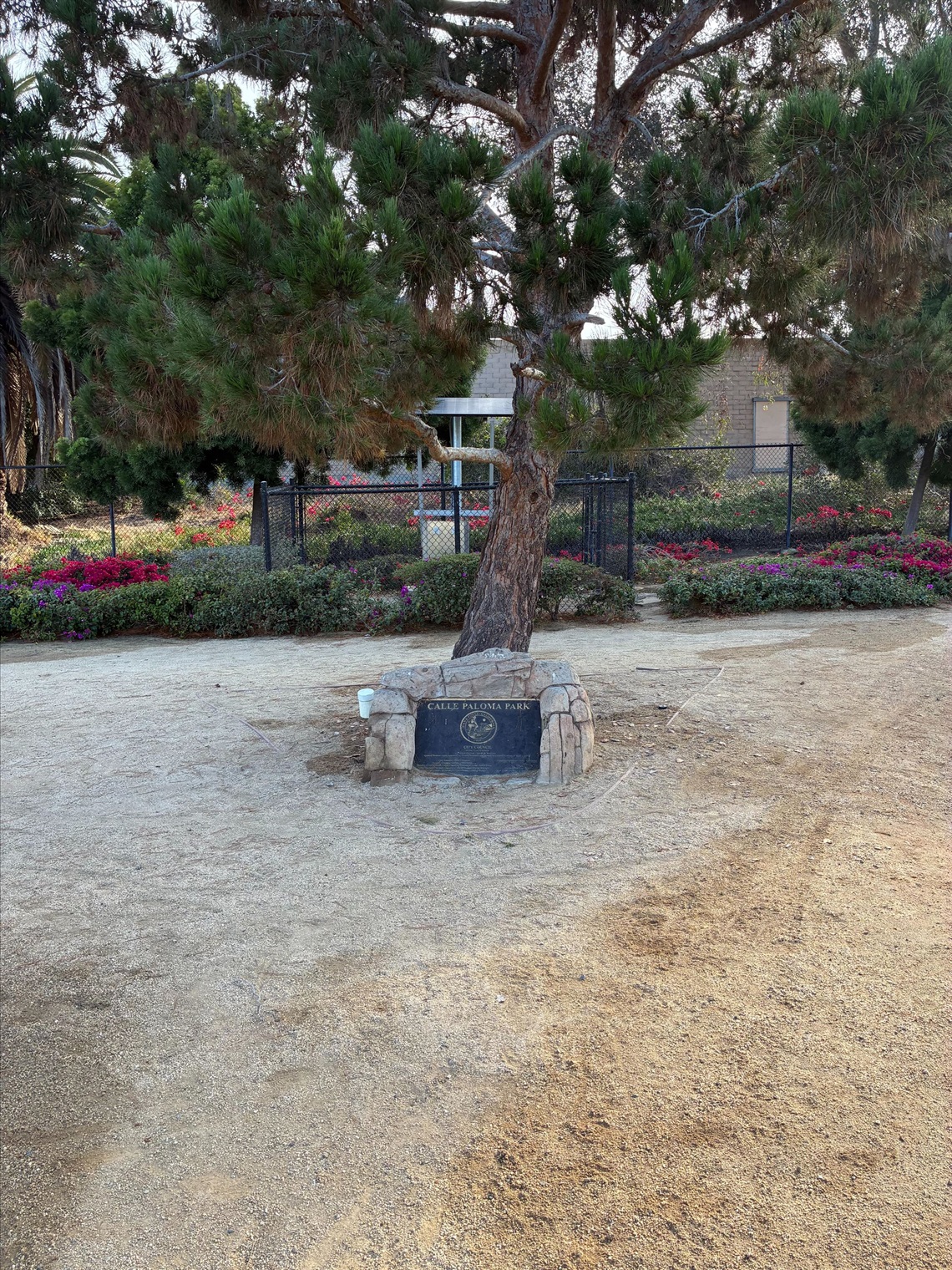 Memorial tree at Calle Paloma Parkette surrounded by landscaped planting areas and walking paths.