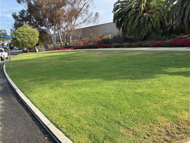 Open lawn area at Calle Paloma Parkette bordered by landscaped flower beds, mature trees, and a nearby pathway.