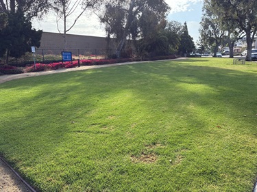 Open grassy lawn at Calle Paloma Parkette bordered by landscaped flower beds, mature trees, and park pathways.