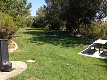 Grassy park area with trees, a picnic table on a concrete pad, and a drinking fountain in the foreground.