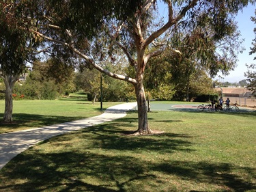 Park with large trees and a curved concrete path across a grassy area, with a few bicycles and people in the distance.
