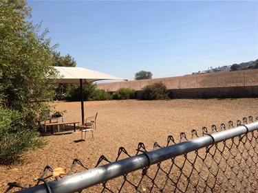 Fenced gravel area with a large shade umbrella, chairs, and small bushes, bordered by trees and an open field in the background.