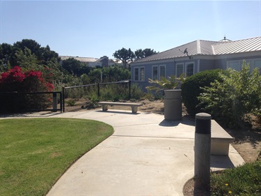 Curved concrete pathway with a bench and trash can, surrounded by green grass, bushes, and a building in the background.