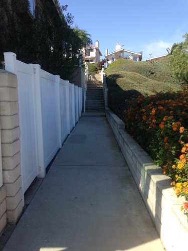Crystal Cove Park's narrow concrete pathway with white fence on one side and trimmed bushes with orange flowers on the other, leading uphill to residential buildings.
