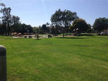 Open grassy area at Dana Crest Park with trees and a playground in the background under a clear blue sky.
