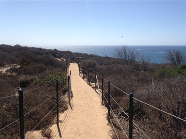 Sandy trail lined with black metal posts and wire fencing, cutting through dry coastal shrubs and leading toward the ocean under a clear blue sky.