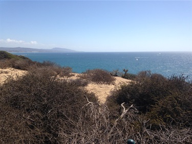 Coastal view with dry shrubs and sandy terrain in the foreground, overlooking the blue ocean with gentle waves and distant hills under a clear sky.