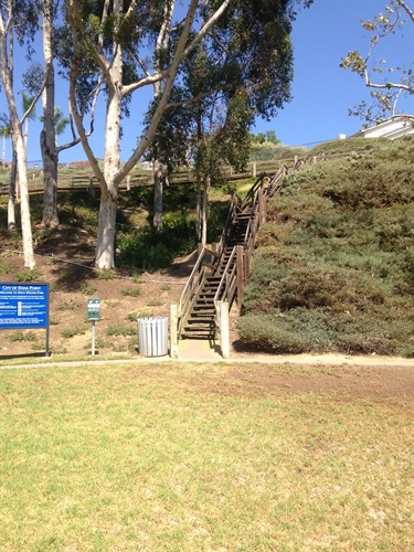 Wooden staircase leading up a hillside at Dana Woods Park, with trees, shrubs, and a blue park sign at the bottom.