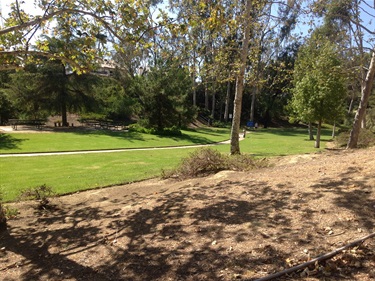 Grassy park area with a dirt slope and scattered trees, featuring a paved walkway in the background under a clear sky.