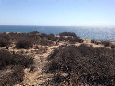Dry, sandy bluff with scattered shrubs overlooking a vast ocean. A sailboat is visible in the distance under a bright, clear blue sky.
