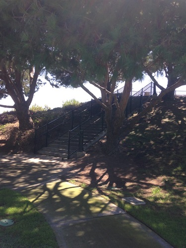 Concrete staircase with black metal railings leading up a small hill, shaded by large trees, with a paved walkway in the foreground under a clear sky.
