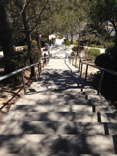 Concrete staircase with metal railings on both sides, descending through a shaded area with trees and landscaped greenery, leading toward a paved walkway in the background under bright sunlight.