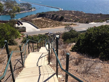 Steep outdoor staircase with green railings descending toward a road and Dana Point Harbor, with ocean and breakwater visible in the background under a clear blue sky.