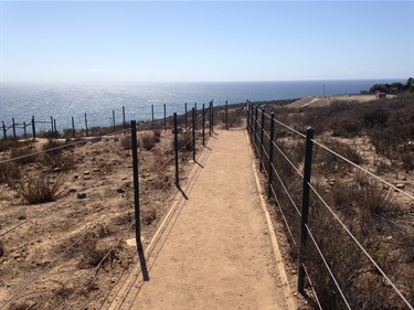 Dirt trail with wire fencing running through dry coastal vegetation, overlooking the ocean under a bright blue sky.