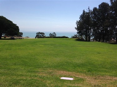 Grassy open area with a few scattered trees on the sides, overlooking the ocean in the distance under a clear blue sky.
