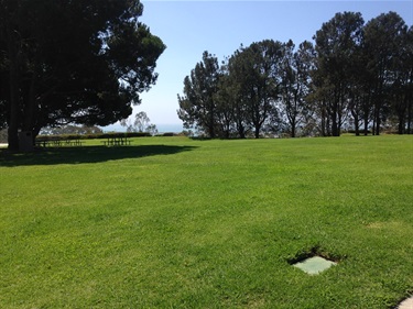 Grassy open area with a few scattered trees on the left and a row of taller trees on the right, overlooking the ocean in the distance under a clear blue sky.