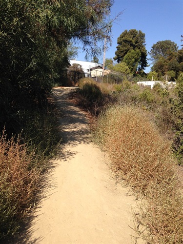 A narrow dirt trail surrounded by dry shrubs and bushes, leading uphill toward houses partially visible in the background under a clear blue sky.