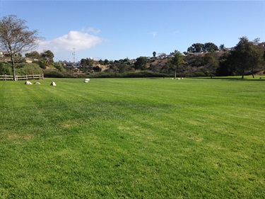 A large open grassy field with bright green grass, bordered by trees and a wooden fence on the left, under a partly cloudy blue sky with hills in the background.