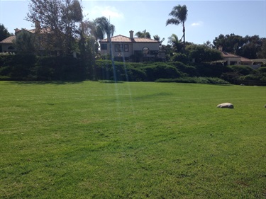 Large grassy field with a single stone marker, houses and palm trees in the background under a sunny sky.