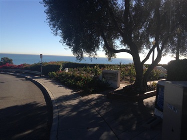 Curved roadside with a large tree casting shade, overlooking a garden area and ocean view in the background under a clear blue sky.