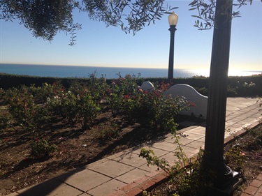 Garden pathway lined with plants and flowers, featuring a black lamp post and a white curved bench, overlooking the ocean under a clear blue sky.