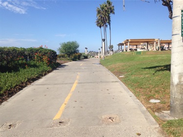 Wide grassy park with scattered trees overlooking the ocean, with palm trees near the shoreline under a partly cloudy blue sky.