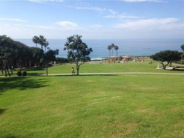 Wide grassy park with scattered trees overlooking the ocean, with palm trees near the shoreline under a partly cloudy blue sky.