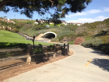 Curving paved path with a wooden fence leading toward a tunnel under a grassy hill, surrounded by shrubs and trees with houses visible in the background.