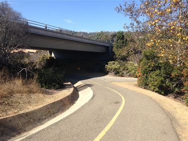 Curving paved path with a yellow center line leading under a concrete bridge, surrounded by dry shrubs and trees under a clear blue sky.