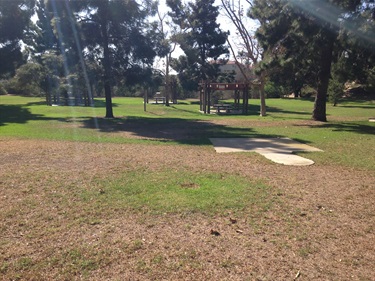 Grassy park area with scattered trees, a concrete walkway, and a small gazebo structure in the background under bright sunlight.