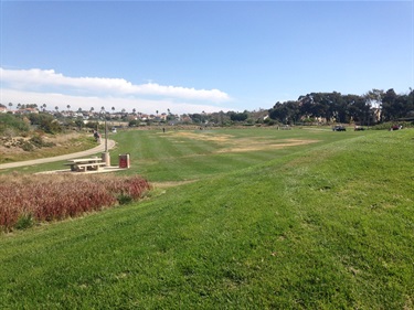 Large grassy field with a winding concrete path, a picnic table, and a trash bin in the foreground, bordered by shrubs and trees. Houses and palm trees are visible in the distance under a clear blue sky.