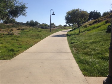 Concrete pathway running through a grassy park with scattered trees and lamp posts under a clear blue sky.