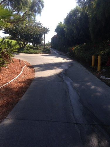 Paved pathway curving through a landscaped area with trees and shrubs on both sides, partially shaded under bright sunlight.