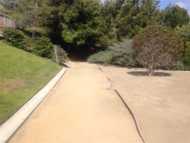 Dirt pathway bordered by a concrete curb on the left, surrounded by grass and shrubs, leading toward dense trees in the background under a clear sky.