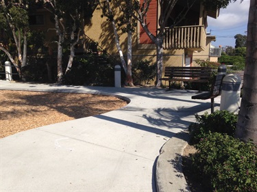 Concrete pathway curving through a landscaped area with trees, shrubs, and a wooden bench near a building.