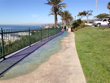 Paved walkway bordered by a green metal fence on the left and grass on the right. Palm trees line the path, with ocean views in the background under a clear blue sky.