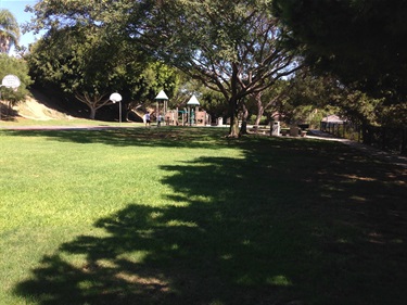 Grassy Thunderbird Park area with large trees casting shadows, a playground with green-roofed structures in the background, and two basketball hoops near a paved path.