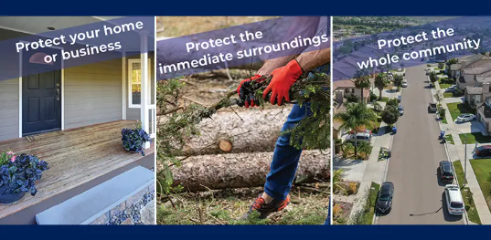 Three-panel graphic showing a home porch, tree debris removal, and an aerial view of a neighborhood, with text reading: “Protect your home or business,” “Protect the immediate surroundings,” and “Protect the whole community.