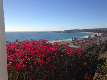 View of the coastline with bright pink flowers in the foreground, overlooking a sandy beach, ocean waves, and a road lined with palm trees under a clear blue sky.
