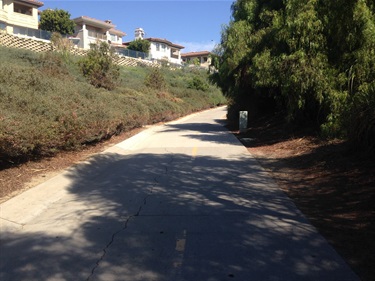 Paved path with a yellow center line curving uphill between dense shrubs and a large tree, with houses visible along the top under a clear blue sky.